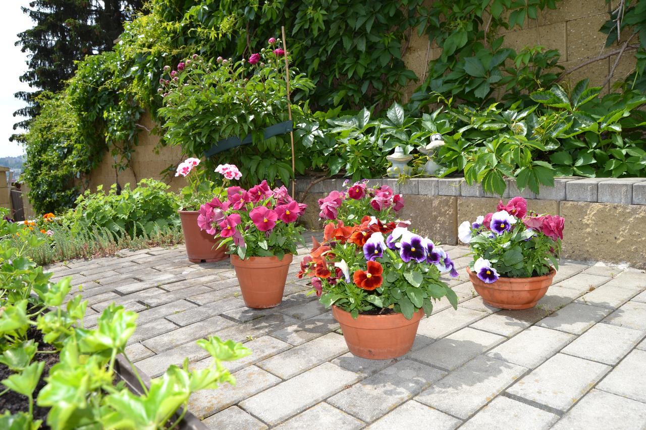 Pension Nika Prag Dış mekan fotoğraf